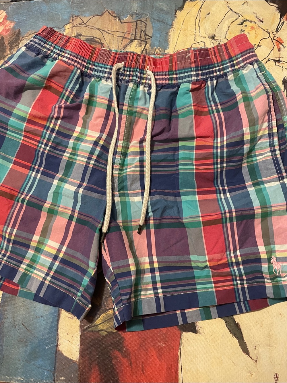 POLO Swim Shorts
